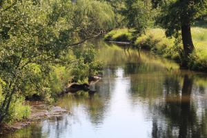 Widok na rzekę i otaczającą przyrodę