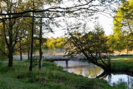 Most na rzece Mrodze w otoczeniu zieleni i drzew