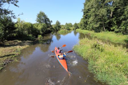 Kajakarze płynący po rzece, wokół mnóstwo zieleni