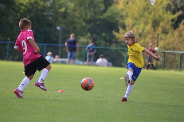 Stalówka CUP 2023