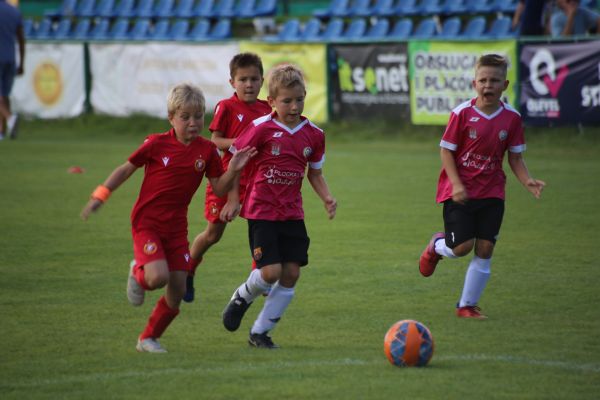 Stalówka CUP 2023