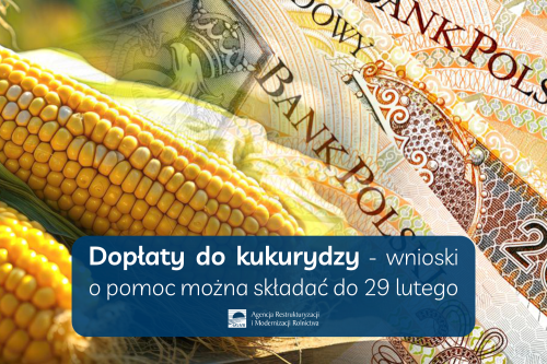 plakat informujący o dopłatach do kukurydzy