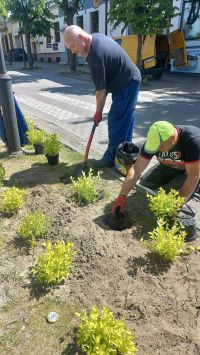 „Głowno – miasto ogrodów przyjaznych naturze”