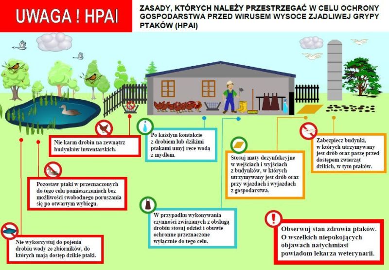 Zasady bioasekuracji stad drobiu - ulotka