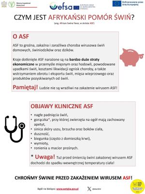 Afrykański Pomór Świń (ASF)