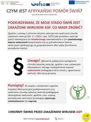 Afrykański Pomór Świń (ASF)