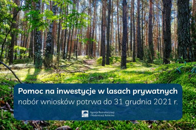 Rusza pomoc na inwestycje w lasach prywatnych