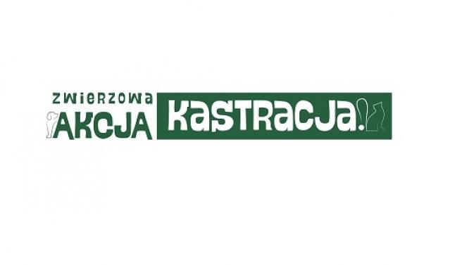 Rusza akcja bezpłatnej kastracji i znakowania zwierząt