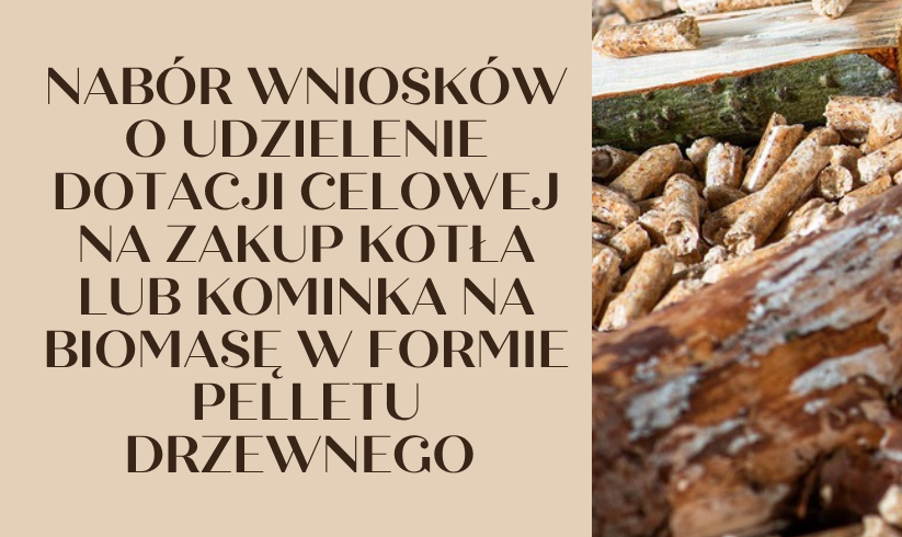 Dofinansowanie na zakup kotła lub kominka na biomasę w formie pelletu drzewnego