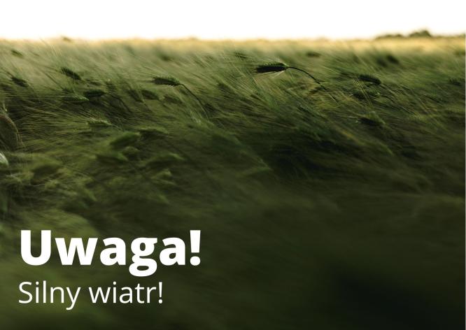 Ostrzeżenie meteorologiczne - silny wiatr